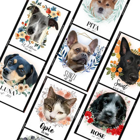 Camiseta e Moletom Com Estampa Personalizada |  Com o Rosto do Seu Animal de Estimação